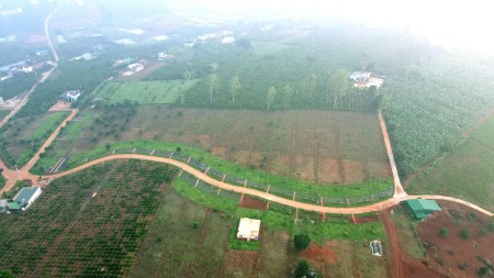 Bán đất tặng kèm vườn sầu riêng và vườn cây ăn trái tại Lâm Hà, Lâm Đồng