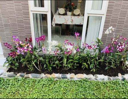 Đi đến slide 7