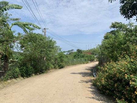 Đi đến slide 7