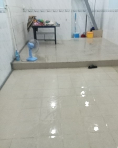Cho thuê nhà nguyên căn (3,7m x 8,2m) 1 trệt, 1 lầu, 2WC, 2 P. ngủ