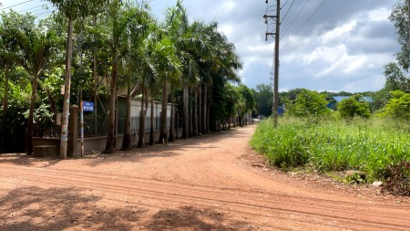 Bán lô góc 2 mặt tiền 1390m ngay chợ Thùng Thơ An Tây Bến Cát, giá rất rẽ phù hợp đầu tư