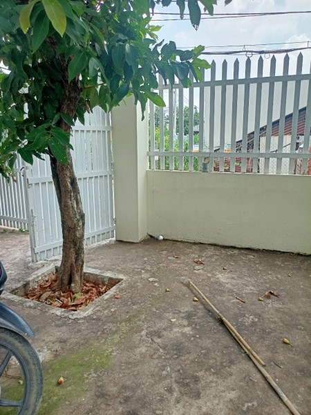Bán gấp nhà cấp 4, Lê Thị Kim, Xuân Thới Sơn, SHR 152,4m full thổ, giá 780 triệu