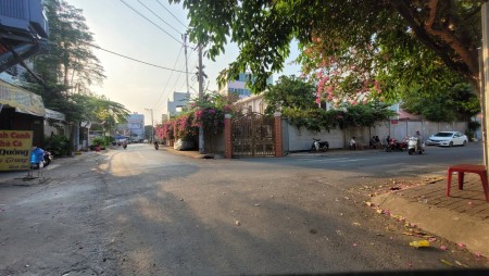 Biệt thự trăm tỷ, 1000mv, Hồ Bá Phấn, Phước Long A, Quận 9.