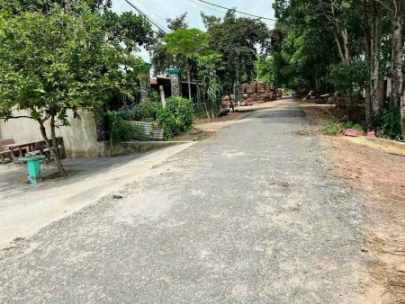 Bán lô đất Xã Xuân Thới Sơn, Huyện Hốc Môn. SHR diện tích 152m2 giá 790 triệu.