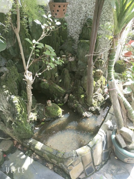 Đi đến slide 9