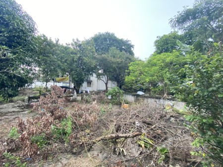Đi đến slide 10