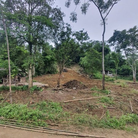 Chỉ 120tr a chị đã có ngay lô đất 138m trong đó có 63m đất ở bám đường betong tại Tân Lạc-Hòa Bình
