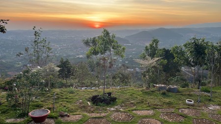 Bán đất giá không tưởng, Đất Nam Ban - Đà Lạt (Cách trung tâm 18km)