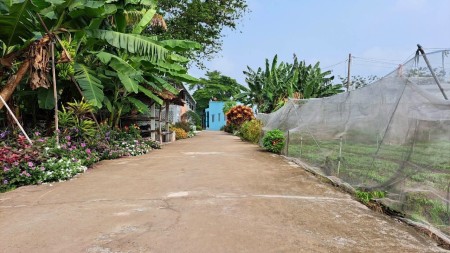 Chính chu cần bán lô đất xã Nhuận Đức huyện Củ Chi