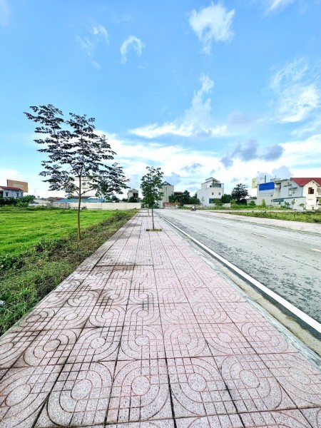 Cần tiền bán lô đất 320m2 ( 2 mặt đường )Thị Trấn Tân Phong