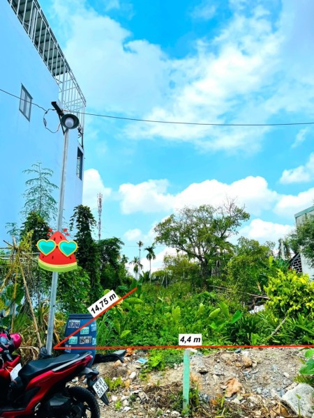 Đi đến slide 5