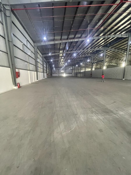 Cần cho thuê kho xưởng đẹp mới trong KCN Cát Lái, Quận 2.