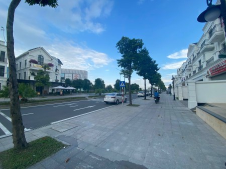 Cho thuê biệt thự shophouse hoàn thiện đẹp giá 20 triệu