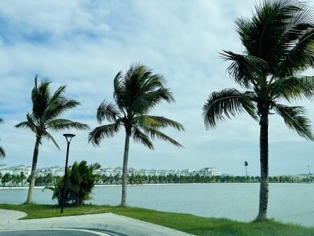 Đi đến slide 3