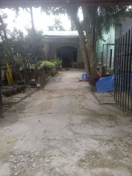 Đi đến slide 11
