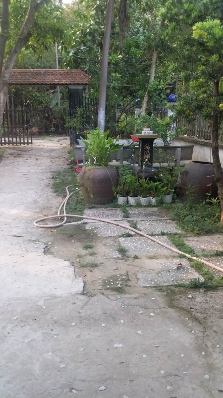 Đi đến slide 6