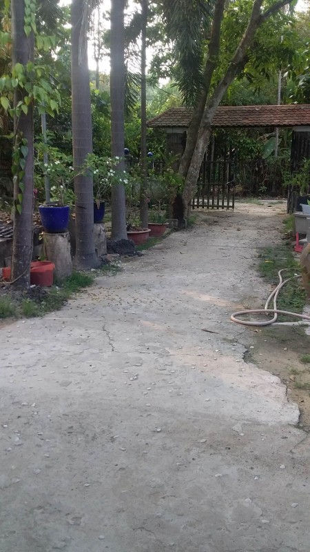 Đi đến slide 5