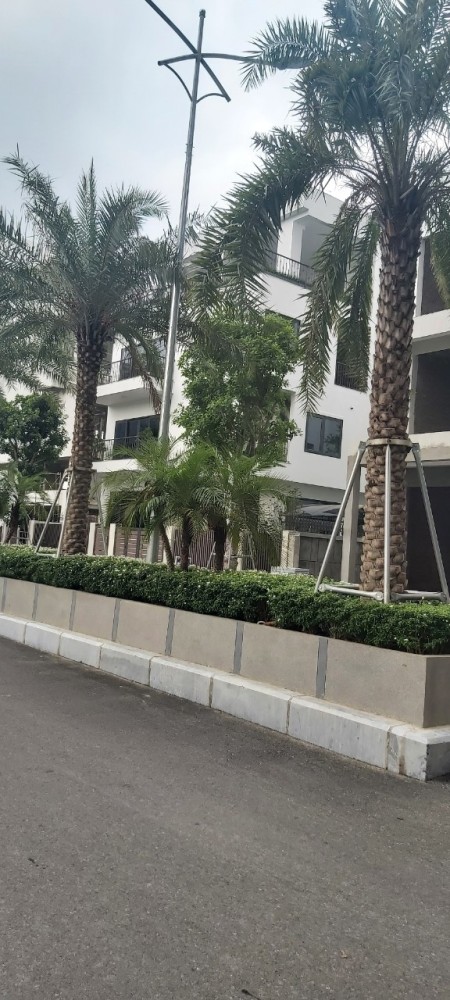 Đi đến slide 10
