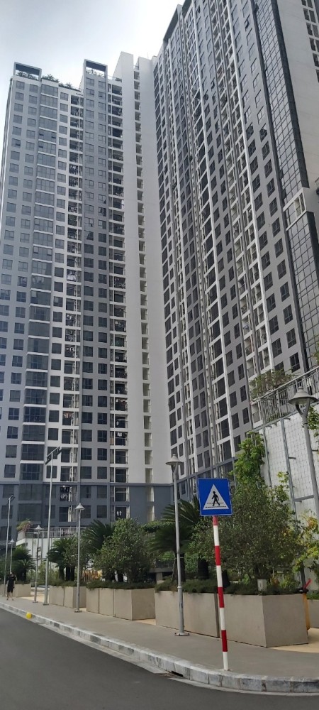 Đi đến slide 8