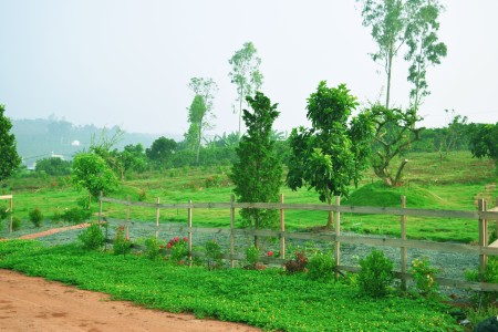 Đi đến slide 5