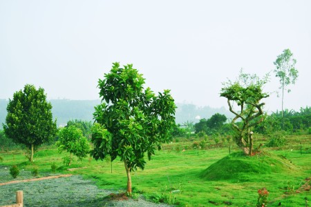 Đi đến slide 4