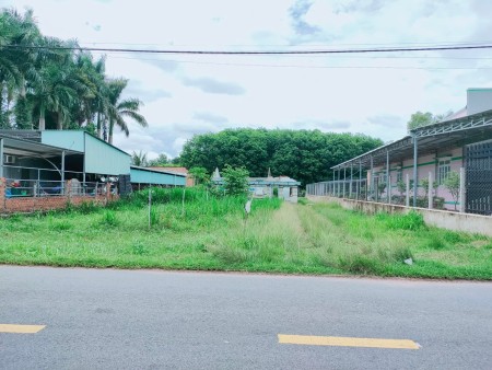 Chỉ 570 triệu tới 465m2 thổ cư, mua bán chính chủ Phước Thạnh, Tây Ninh