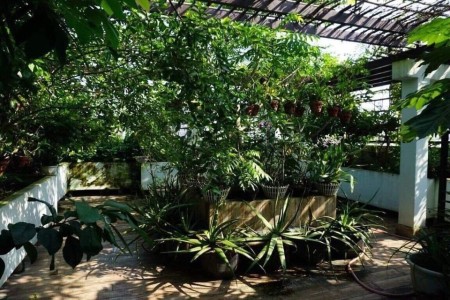 Siêu phẩm biệt thự gần Nguyễn Văn Trỗi, 5 tầng, 9,6x17, chỉ 3x tỷ