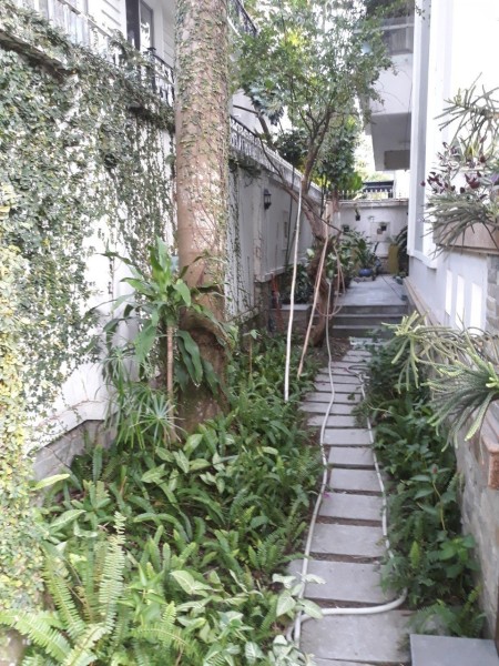 Đi đến slide 11