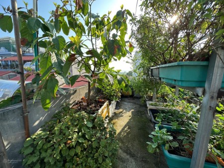 Bán nhà Ba Đình, Ngọc Khánh, đường Ngọc Khánh, 3.x tỷ nhà mới xây siêu VIP diêu đẹp