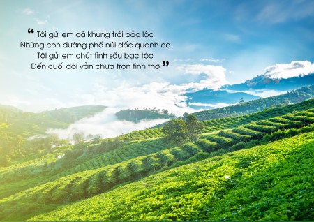 Bán đất khu biệt thự nghĩ dưỡng cao cấp Windy Hill