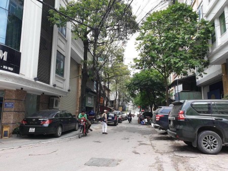 Bán nhà phân lô 115m2 - đất xây 8 tầng 1 hầm - kinh doanh tốt