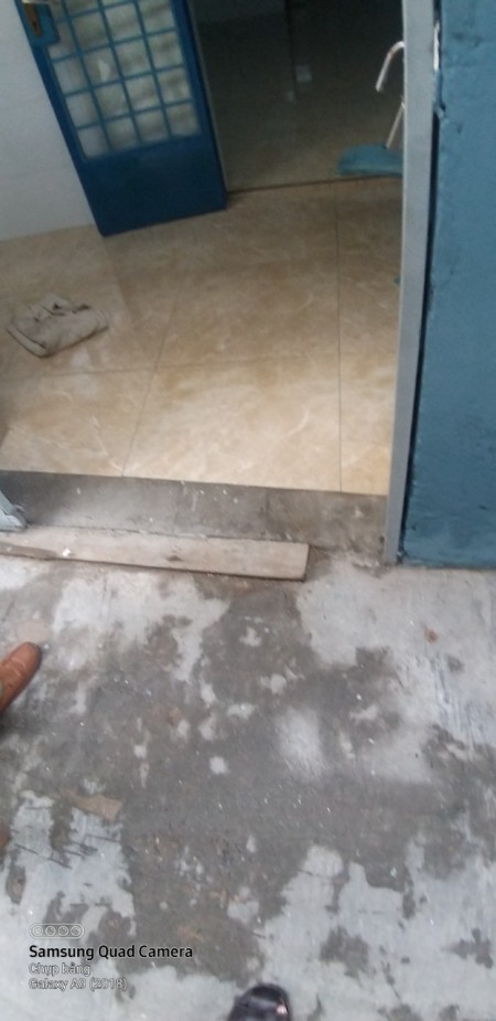 Cho thuê nhà nguyên căn đường Quang Trung, p 11, Gò Vấp