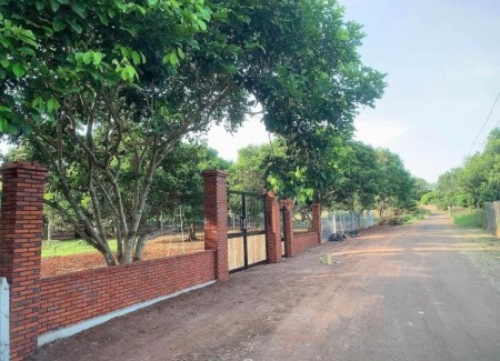 Đất thổ vườn đẹp DT 20x50m, đường thông, giá đầu tư, sổ hồng chính chủ