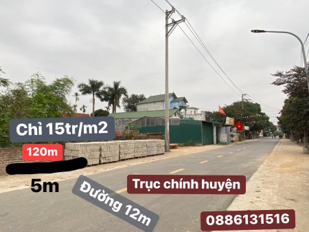 Chính chủ cần bán 150m2 mặt đường trục chính Cổ Đông giá 15tr/m mặt chợ kinh doanh