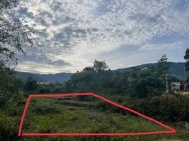 Tôi có nhu cầu muốn bán gấp đất tại xã Tạ Đông - Đam Rông - Lâm Đồng sổ tôi cầm sẵn