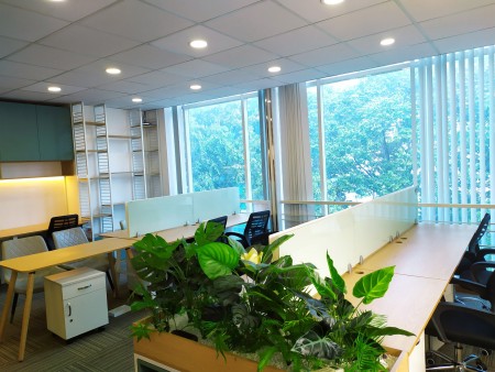 Cho thuê văn phòng full nội thất view kính đường Võ Văn Tần, Quận 3 (như hình)