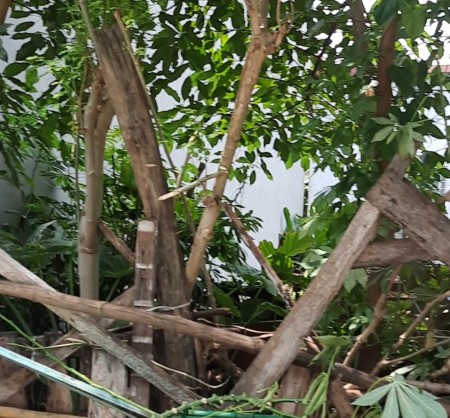 BÁN 56,4 M TẠI VÕNG LA NGÕ THÔNG BÀN CỜ , Ô TÔ 2 TỶ 3