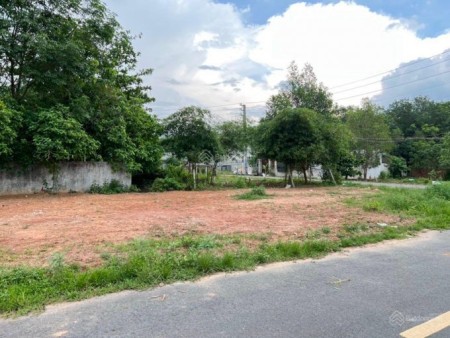 Bán gấp 1098m2 đất mặt tiền đường nhựa 12m , Bình Dương giá chỉ 499 triệu