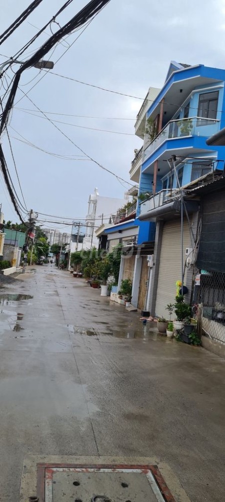 Cho thuê đất trồng lâu dài, chính chủ