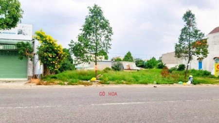 Bán gấp 480m² đất đối diện chợ. Ngay KCN Nhật - Hàn. Dân cư đông, giá 1,1 tỷ