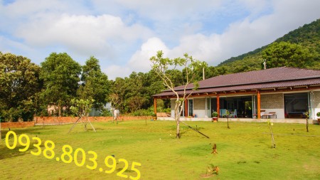 Đi đến slide 6
