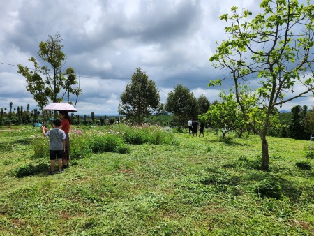 Đi đến slide 2