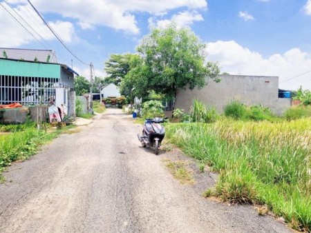 Bán đất đường nhựa 12m gần cụm KCN Bàu Bàng – Bình Dương giá chỉ 580 triệu, DT 1000m²