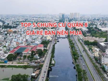 Ảnh bài viết: Top 5 chung cư quận 8 giá rẻ bạn nên mua