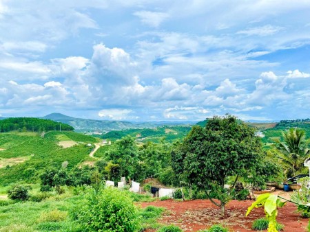 Chính chủ ngộp, cần bán gấp trong tháng, sổ hồng riêng