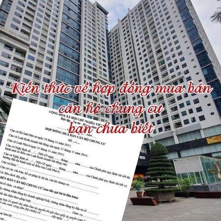 Tổng hợp những yếu tố trong hợp đồng mua bán căn hộ chung cư bạn cần lưu ý (Phần 1)