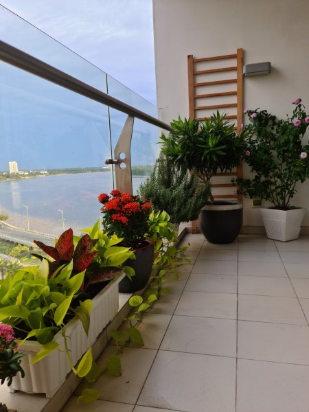 Đi đến slide 6