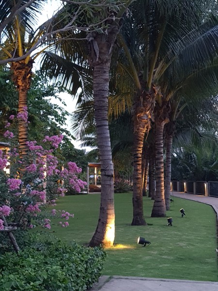 Đi đến slide 12