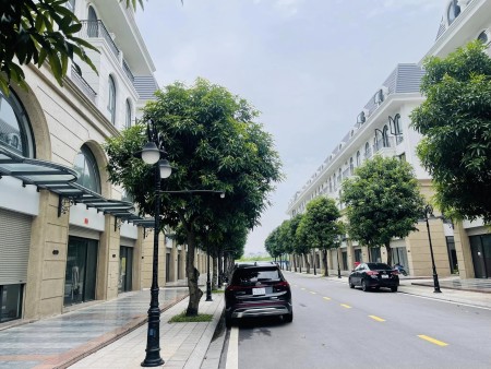 Chính chủ bán cặp Shophouse 181.4m2 RẺ nhất Vinhomes Ocean Park