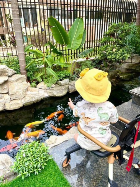 Bán biệt thự vườn + bể cá tại trung tâm Bãi Cháy, Hạ Long 990m2.